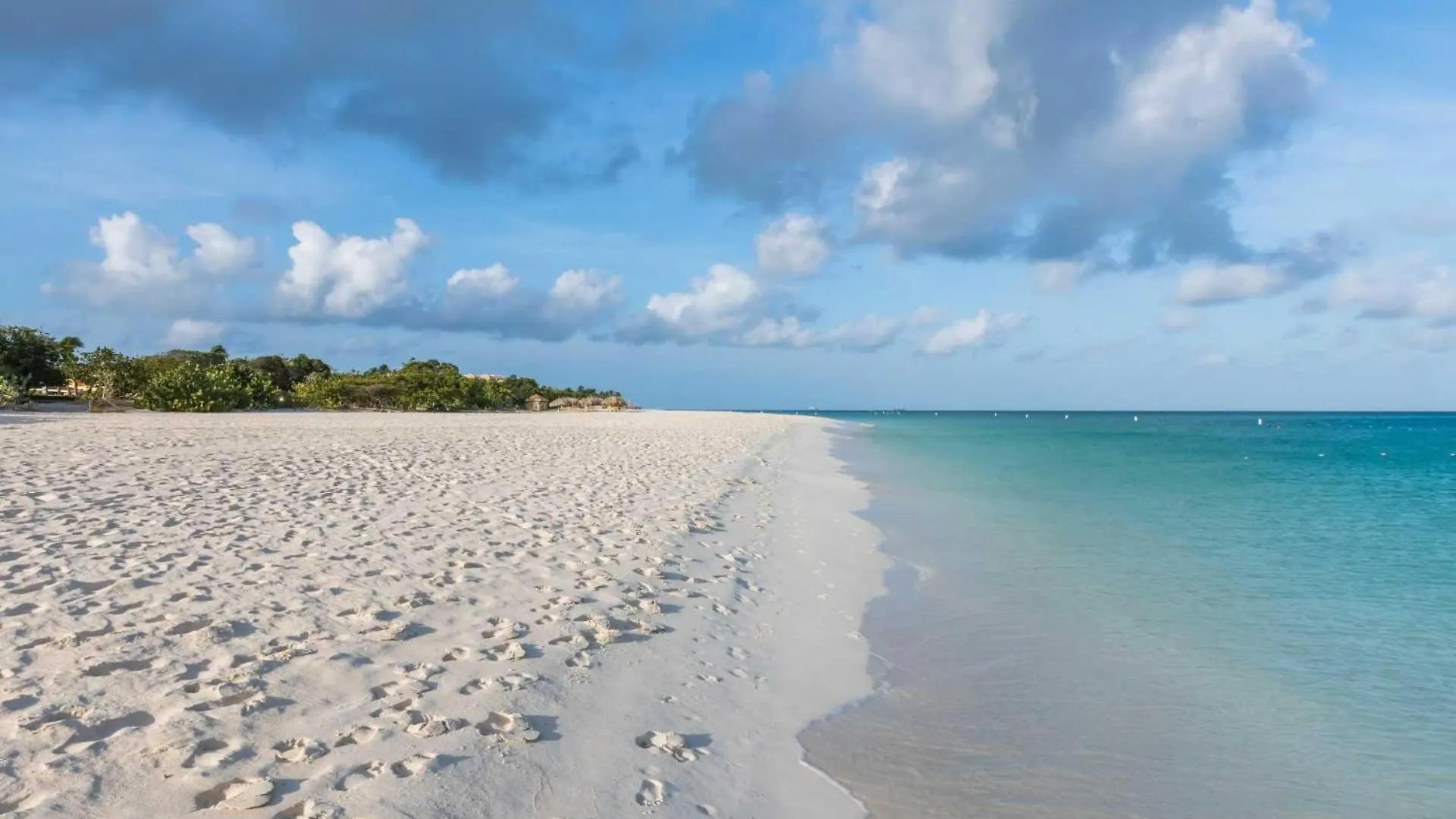 別荘 Beachfront - Garden Delight 2Br Condo - E125-2 パームビーチ