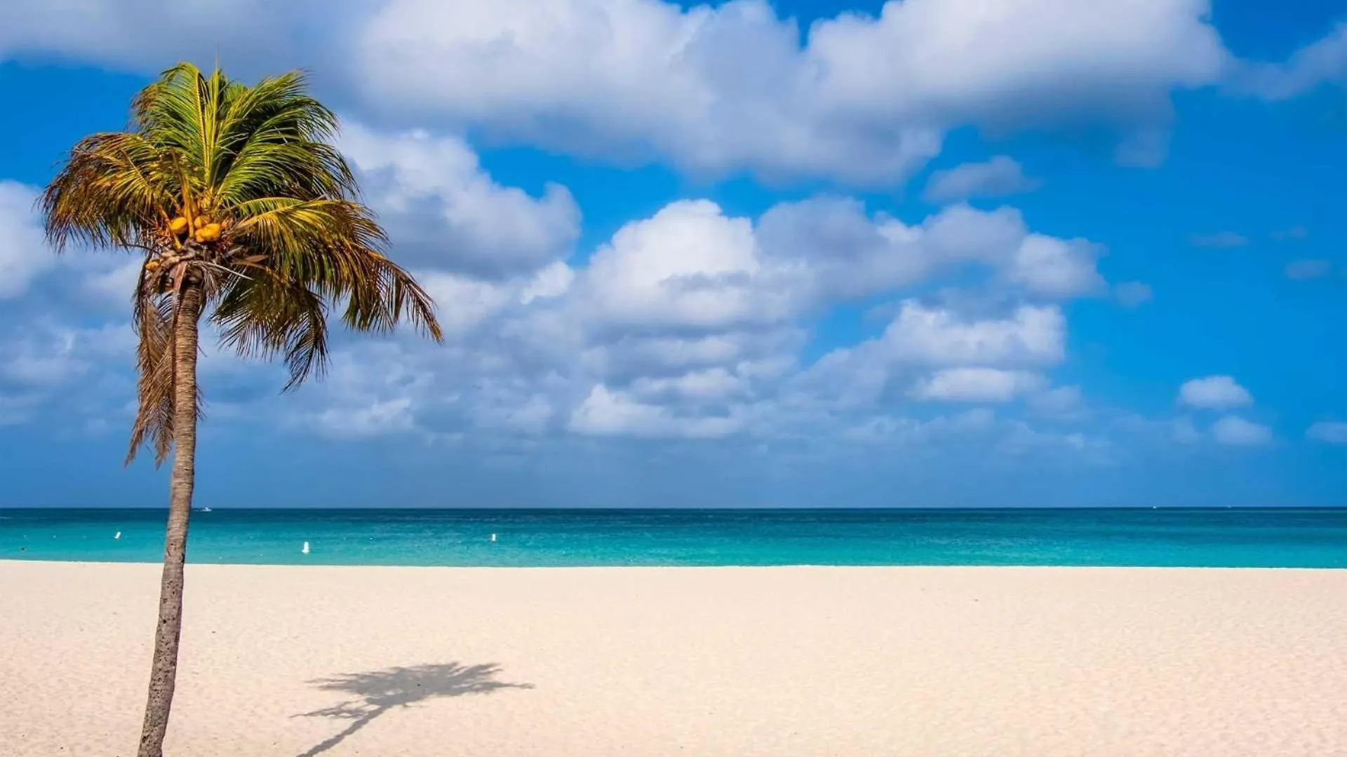 別荘 Beachfront - Garden Delight 2Br Condo - E125-2 パームビーチ アルバ