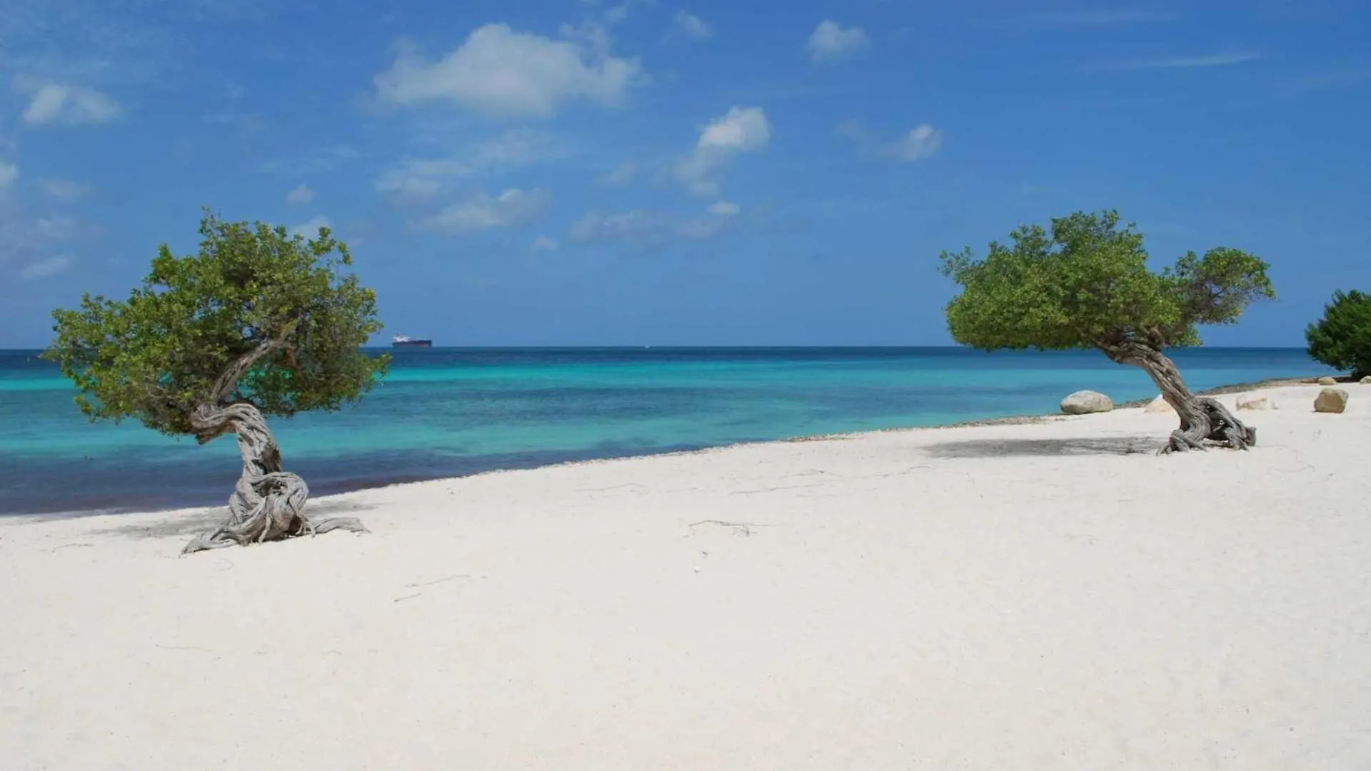 Beachfront - Garden Delight 2Br Condo - E125-2 パームビーチ