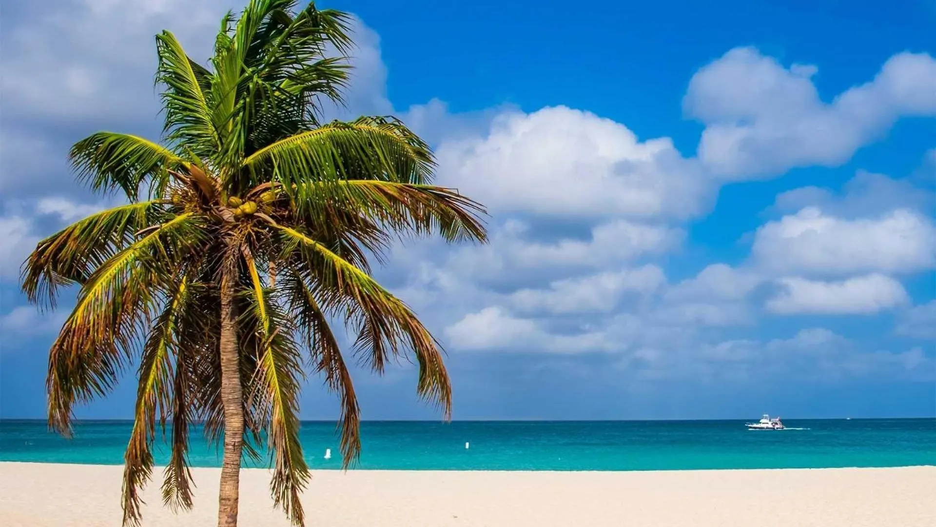 Beachfront - Garden Delight 2Br Condo - E125-2 パームビーチ 別荘